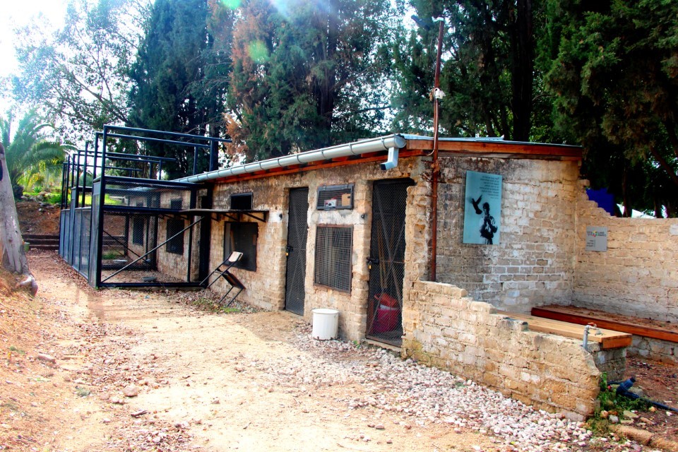 שובך היונים ההסטורי בגבעת ברנר