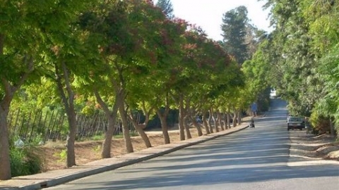 kibbutz-givat-brenner-05.jpg